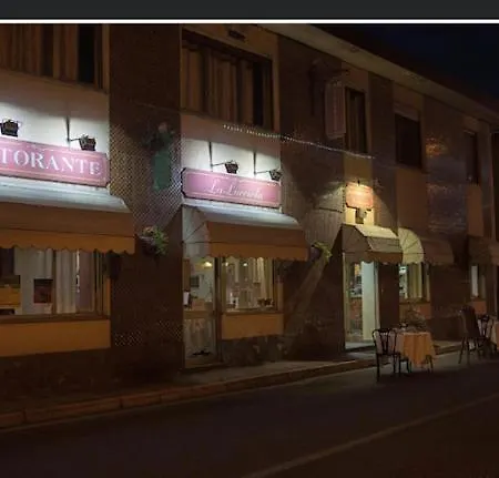 L'ulivo Selvatico * Brandizzo