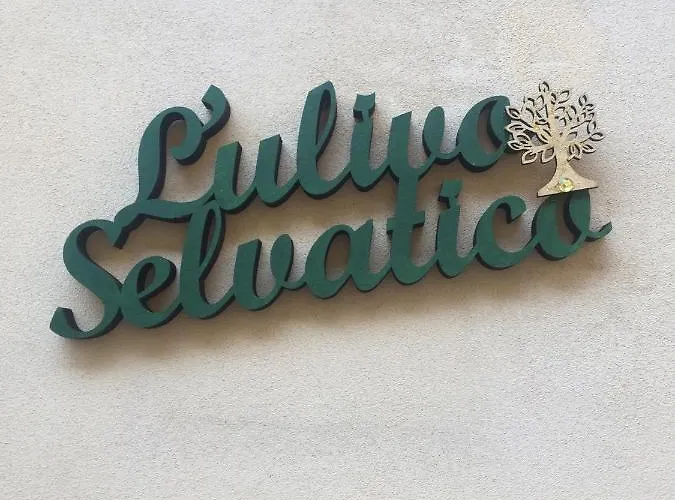Feriehus L'ulivo Selvatico