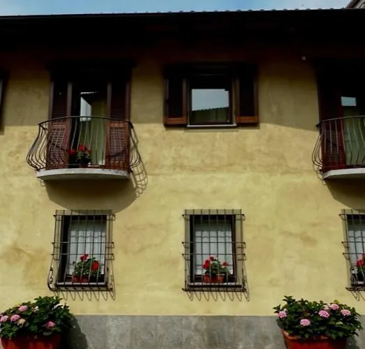 L'ulivo Selvatico