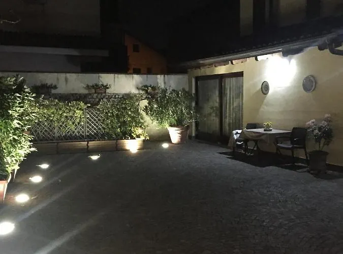 L'ulivo Selvatico * Brandizzo